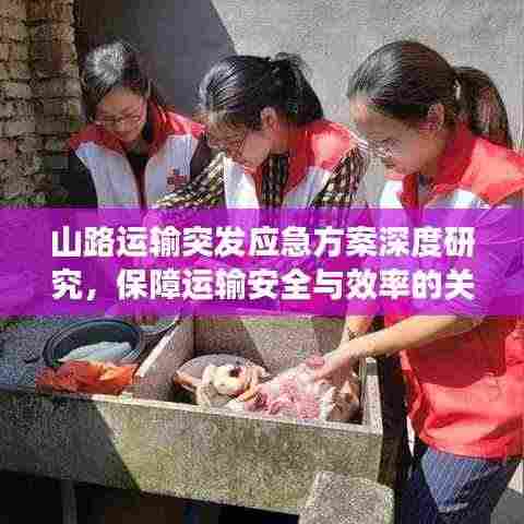 山路运输突发应急方案深度研究,保障运输安全与效率的关键策略
