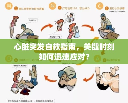 心脏突发自救指南，关键时刻如何迅速应对？