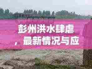 彭州洪水肆虐，最新情况与应对措施专题报道