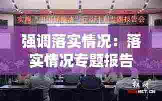 强调落实情况：落实情况专题报告 