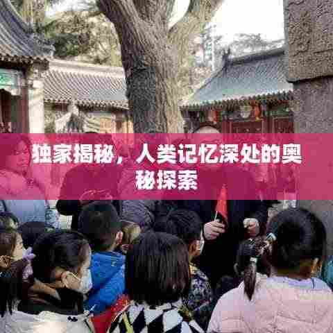 独家揭秘,人类记忆深处的奥秘探索