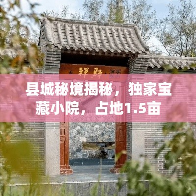 县城秘境揭秘,独家宝藏小院,占地1.5亩