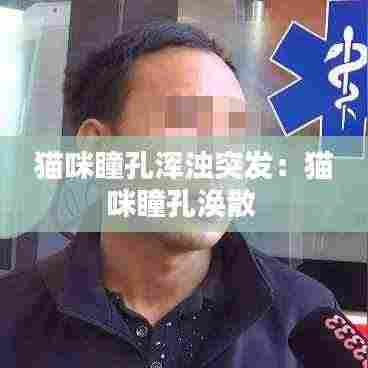 猫咪瞳孔浑浊突发：猫咪瞳孔涣散 