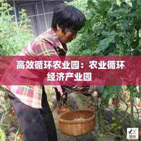 高效循环农业园：农业循环经济产业园 