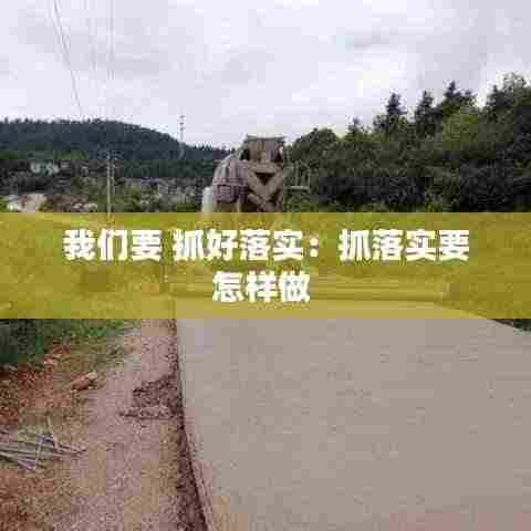 我们要 抓好落实:抓落实要怎样做