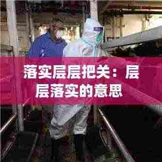 落实层层把关:层层落实的意思