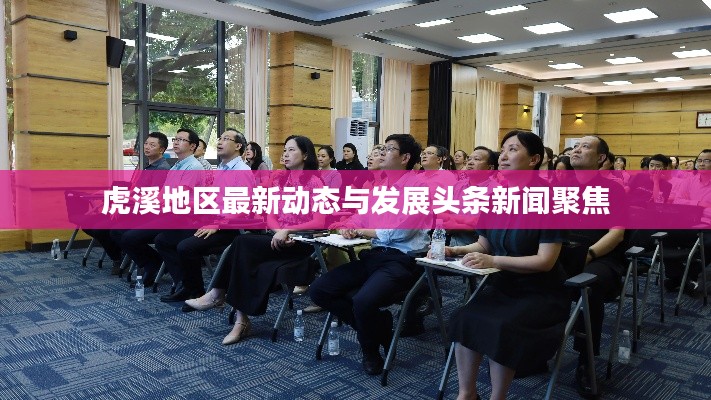 虎溪地区最新动态与发展头条新闻聚焦
