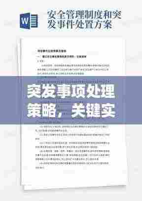 突发事项处理策略,关键实践与审慎应对之道