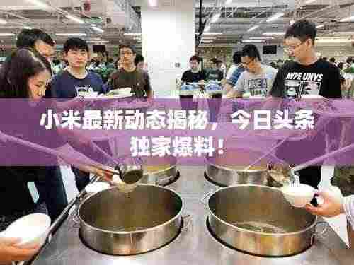 还淳反素 第4页