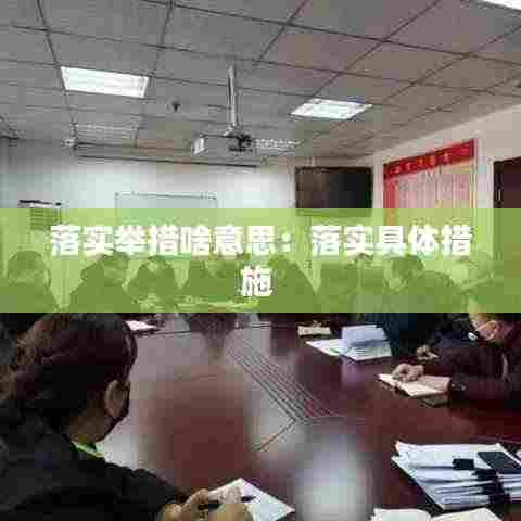 落实举措啥意思:落实具体措施