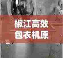 衣不重彩 第5页