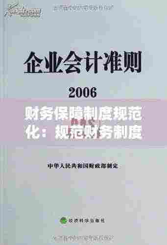 财务保障制度规范化:规范财务制度的措施