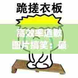 高效率道歉图片搞笑：最有效的道歉 