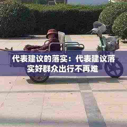 代表建议的落实：代表建议落实好群众出行不再难 