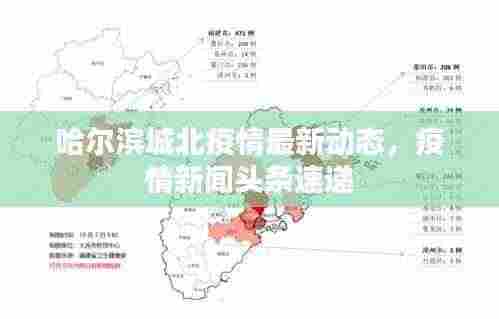 哈尔滨城北疫情最新动态,疫情新闻头条速递