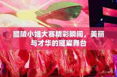 醴陵小姐大赛精彩瞬间,美丽与才华的璀璨舞台