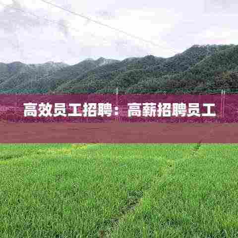 高效员工招聘:高薪招聘员工