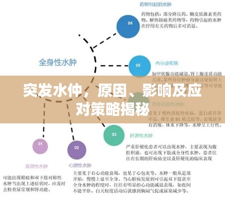 突发水仲,原因、影响及应对策略揭秘
