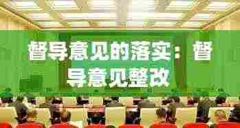 督导意见的落实：督导意见整改 