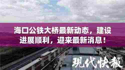 海口公铁大桥最新动态，建设进展顺利，迎来最新消息！