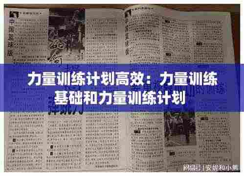 力量训练计划高效：力量训练基础和力量训练计划 