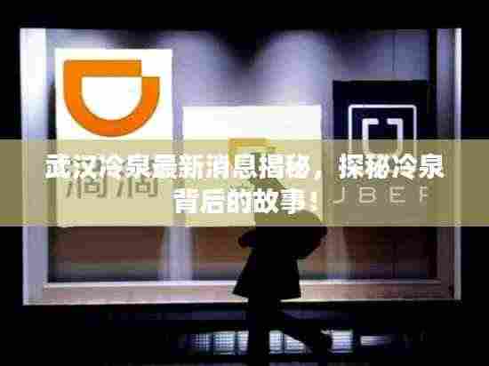 武汉冷泉最新消息揭秘,探秘冷泉背后的故事!