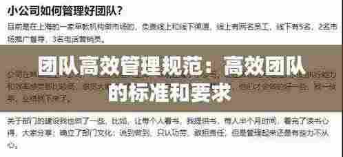 团队高效管理规范:高效团队的标准和要求