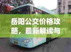 岳阳公交价格攻略,最新解读与优惠信息一网打尽