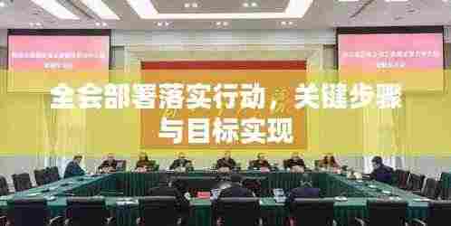 全会部署落实行动，关键步骤与目标实现