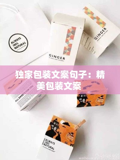独家包装文案句子:精美包装文案