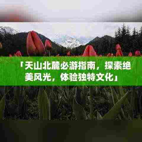 「天山北麓必游指南，探索绝美风光，体验独特文化」