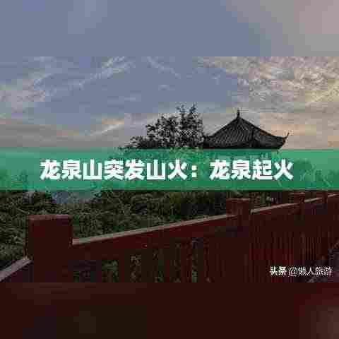 龙泉山突发山火：龙泉起火 