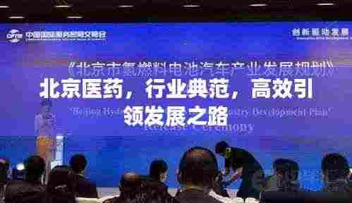 北京医药,行业典范,高效引领发展之路