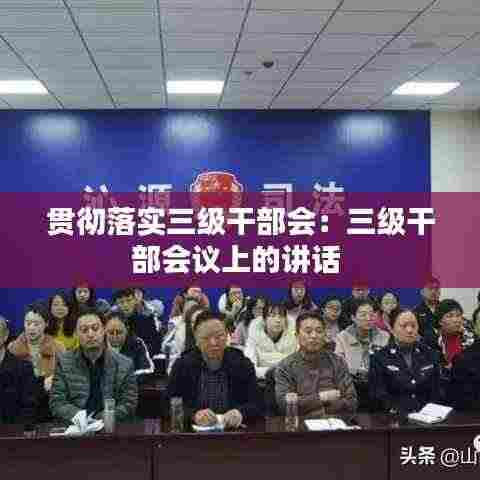 贯彻落实三级干部会：三级干部会议上的讲话 