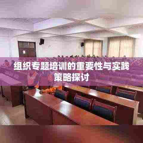 组织专题培训的重要性与实践策略探讨
