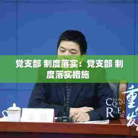 党支部 制度落实：党支部 制度落实措施 