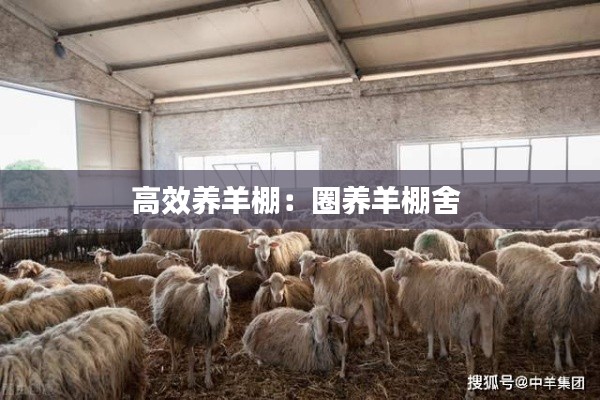 矢志不渝 第3页