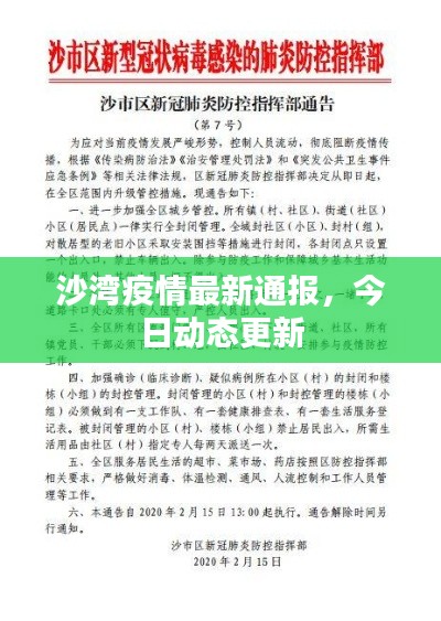 沙湾疫情最新通报，今日动态更新