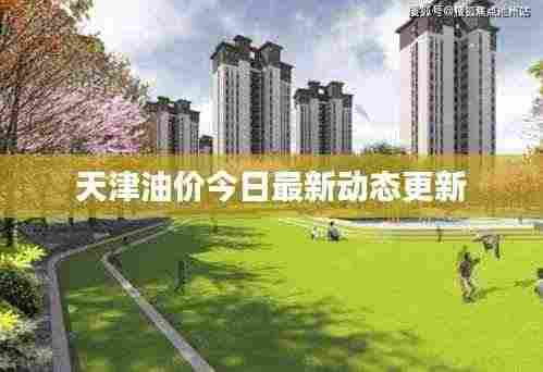 天津油价今日最新动态更新