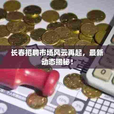 长春招聘市场风云再起,最新动态揭秘!