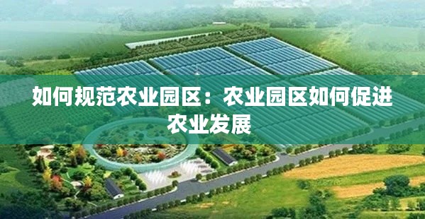 如何规范农业园区：农业园区如何促进农业发展 