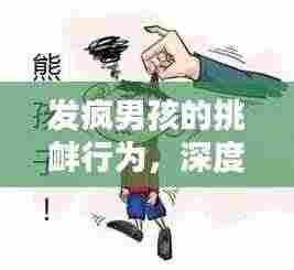发疯男孩的挑衅行为,深度解析与应对之道