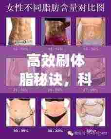 高效刷体脂秘诀,科学减脂,健康塑身之道