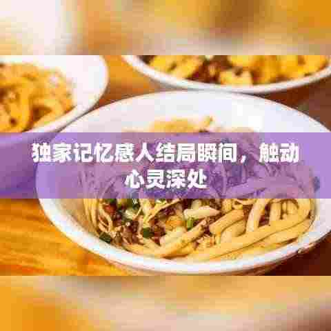 独家记忆感人结局瞬间，触动心灵深处