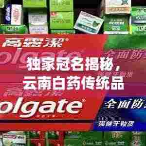 一石二鸟 第3页