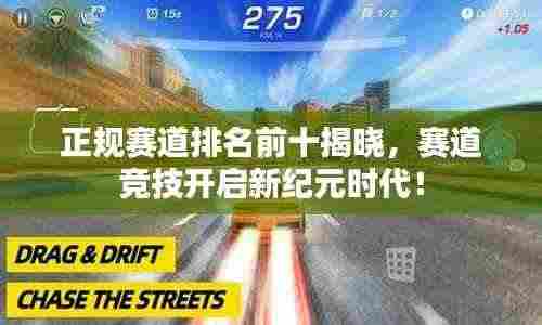 正规赛道排名前十揭晓,赛道竞技开启新纪元时代!
