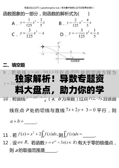 独家解析!导数专题资料大盘点,助力你的学习飞跃!
