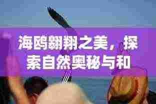 龙飞凤舞 第4页