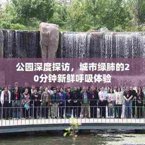 公园深度探访，城市绿肺的20分钟新鲜呼吸体验