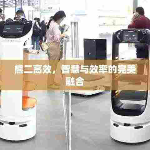 熊二高效,智慧与效率的完美融合